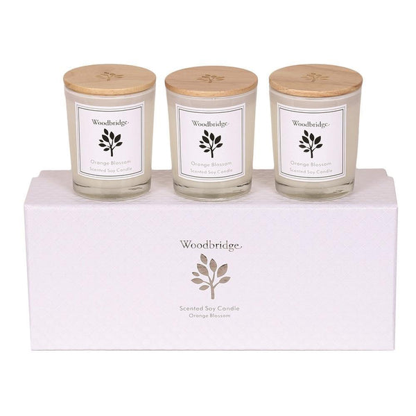 Woodbridge Set of 3 Soy Candles - DeWaldens Garden Centre