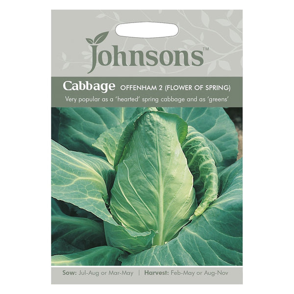 Johnsons Cabbage Offenham 2 (Flower Of Spring) Seeds - DeWaldens Garden Centre