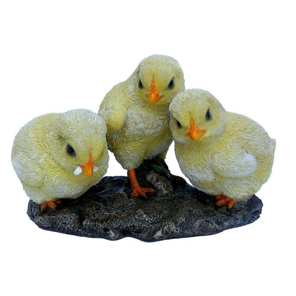 Vivid Arts Chicks - DeWaldens Garden Centre