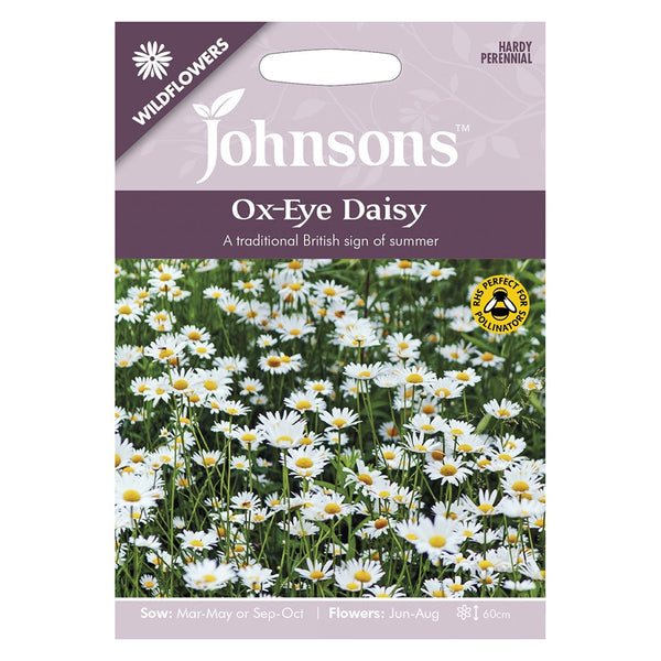 Johnsons Ox-Eye Daisy Seeds - DeWaldens Garden Centre
