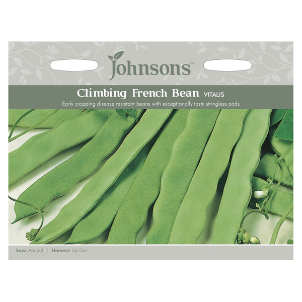 Johnsons Climbing French Bean Vitalis Seeds - DeWaldens Garden Centre