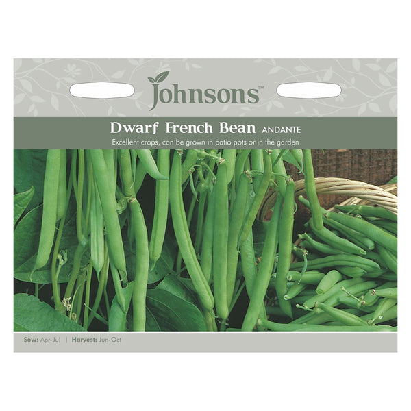 Johnsons Dwarf French Bean Andante Seeds - DeWaldens Garden Centre