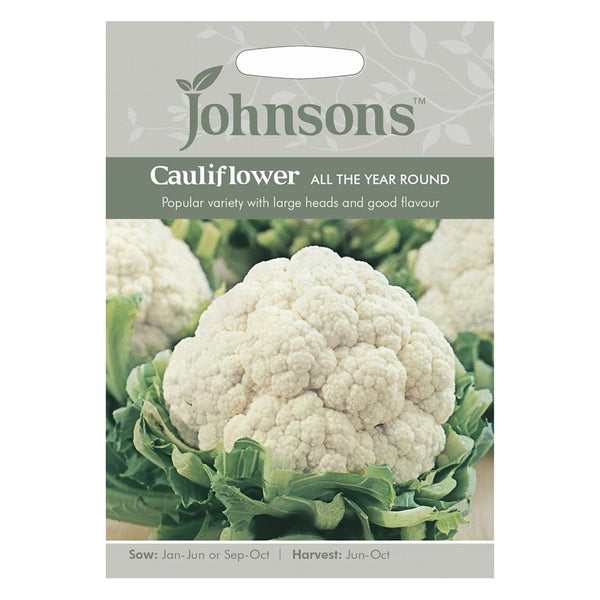 Johnsons Cauliflower All The Year Round Seeds - DeWaldens Garden Centre
