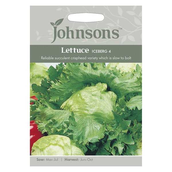 Johnsons Lettuce Iceberg 4 Seeds - DeWaldens Garden Centre