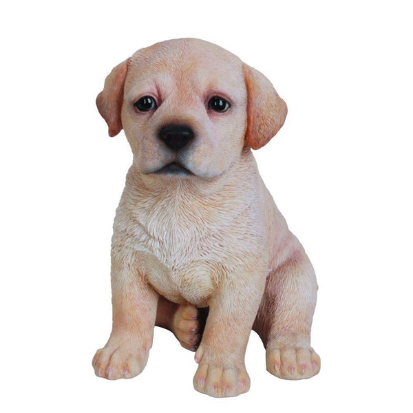 Vivid Arts Golden Labrador Puppy Pet Pals - DeWaldens Garden Centre