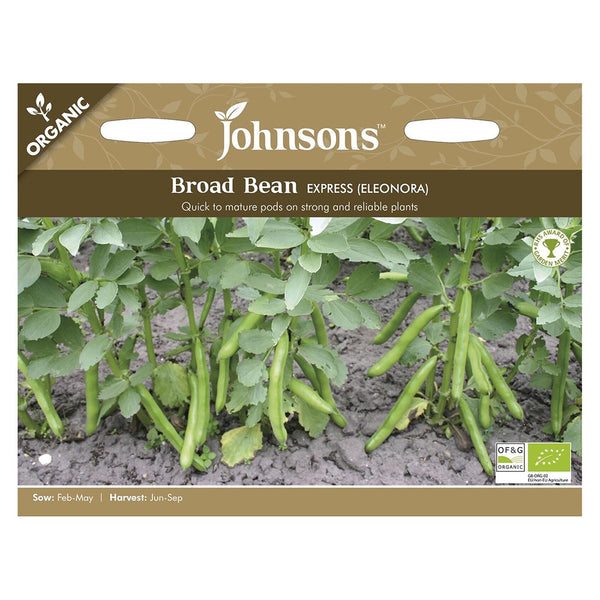 Johnsons Organic Broad Bean Express (Eleonora) Seeds - DeWaldens Garden Centre