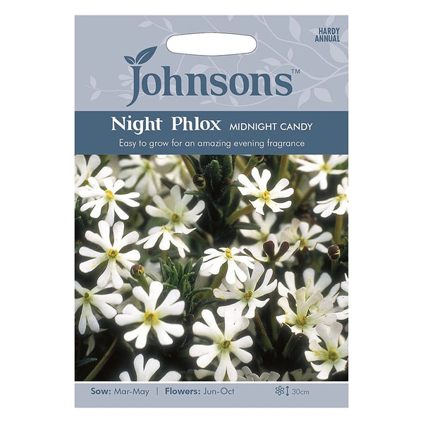 Johnsons Night Phlox Midnight Candy Seeds - DeWaldens Garden Centre