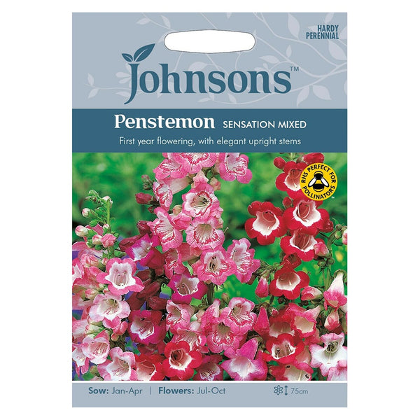 Johnsons Penstemon Sensation Mixed Seeds - DeWaldens Garden Centre