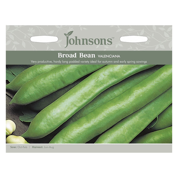 Johnsons Broad Bean Valenciana Seeds - DeWaldens Garden Centre