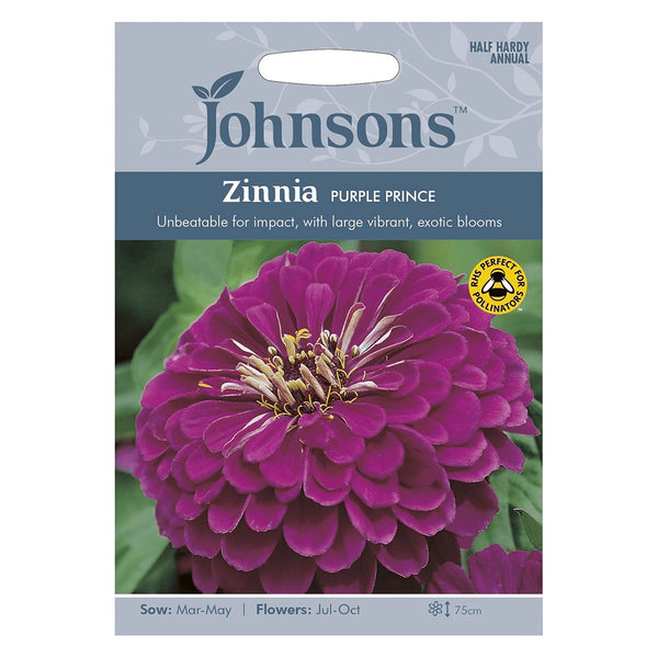 Johnsons Zinnia Purple Prince Seeds - DeWaldens Garden Centre