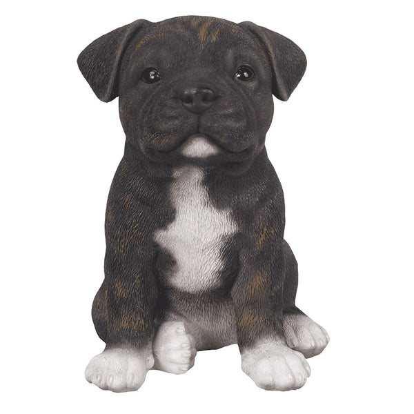 Vivid Arts Puppy Pals Staffordshire Brindle - DeWaldens Garden Centre