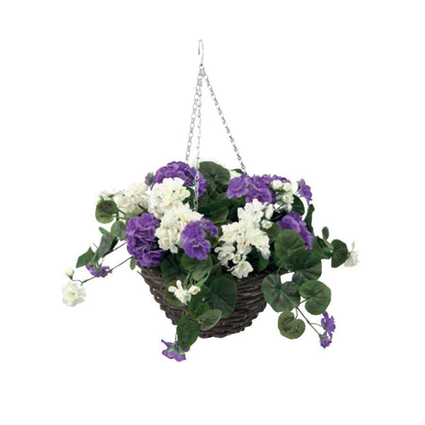 Henry Bell Purple & White Geranium Hanging Basket - DeWaldens Garden Centre