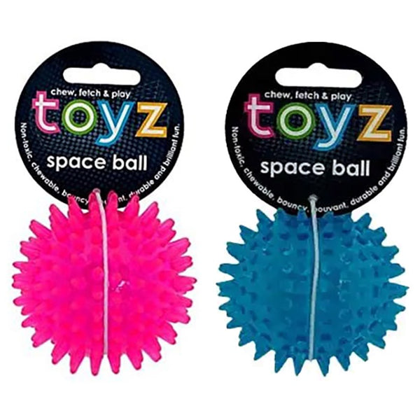 Petface Toyz Space Ball - DeWaldens Garden Centre