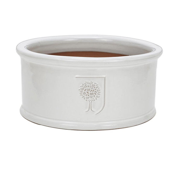 Apta RHS Low Cylinder Planter - DeWaldens Garden Centre