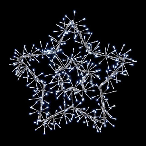 Premier Silver Starburst Cluster - DeWaldens Garden Centre