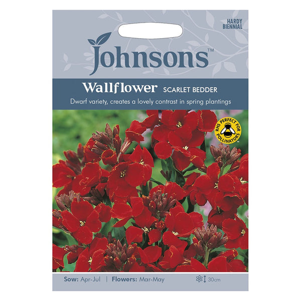 Johnsons Wallflower Scarlet Bedder Seeds - DeWaldens Garden Centre