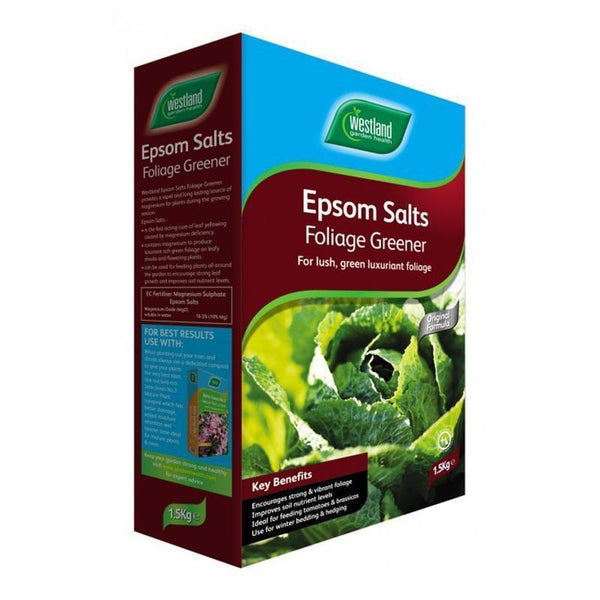 Westland Epsom Salts Foliage Greener - DeWaldens Garden Centre