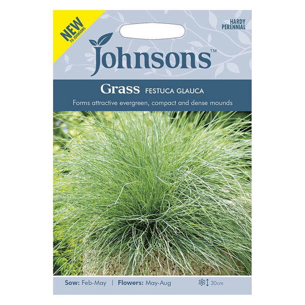 Johnsons Grass Festuca Glauca Seeds - DeWaldens Garden Centre