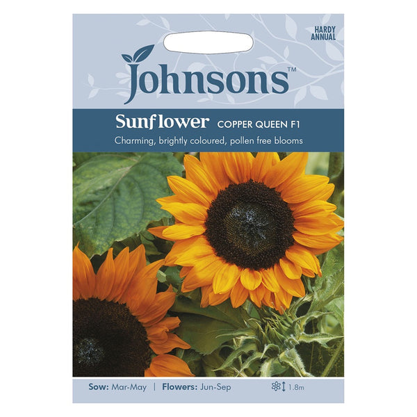 Johnsons Sunflower Copper Queen F1 Seeds - DeWaldens Garden Centre