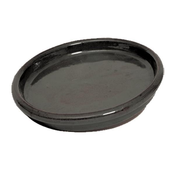 Apta Saucer - DeWaldens Garden Centre