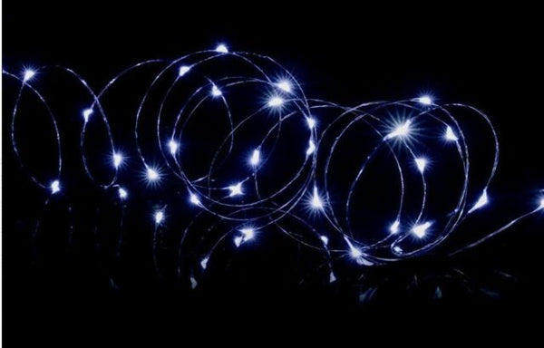 Premier Micro Brights Battery Operated 100 LED Lights - DeWaldens Garden Centre