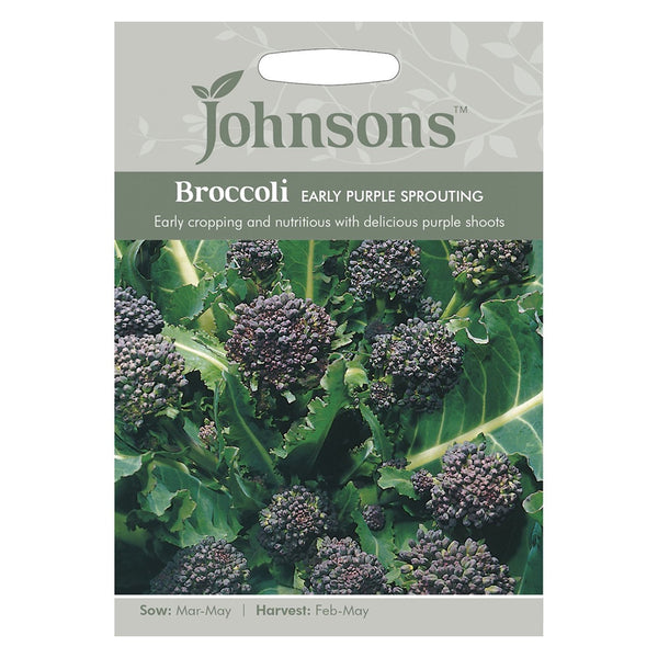 Johnsons Broccoli Early Purple Sprouting Seeds - DeWaldens Garden Centre