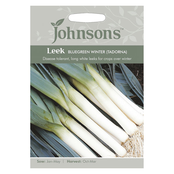 Johnsons Leek Bluegreen Winter (Tadorna) Seeds - DeWaldens Garden Centre