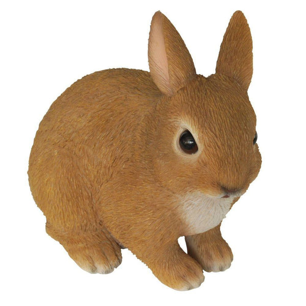 Vivid Arts Young Sitting Rabbit - DeWaldens Garden Centre