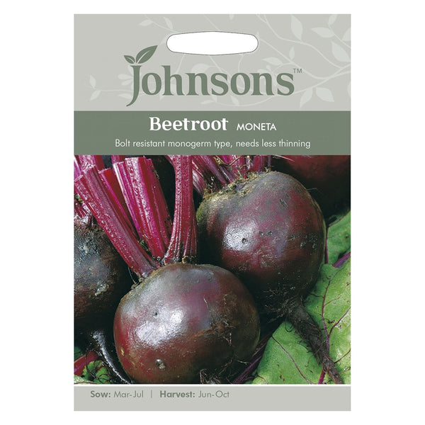 Johnsons Beetroot Moneta Seeds - DeWaldens Garden Centre