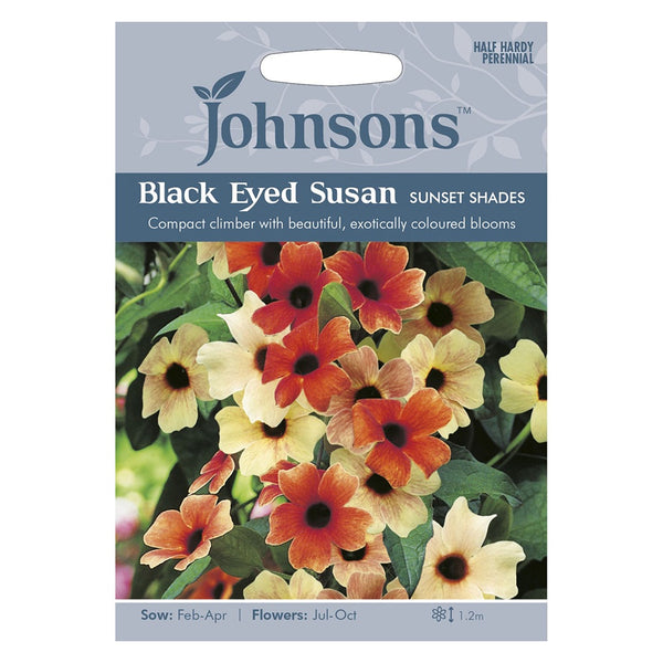 Johnsons Black Eyed Susan Sunset Shades Seeds - DeWaldens Garden Centre