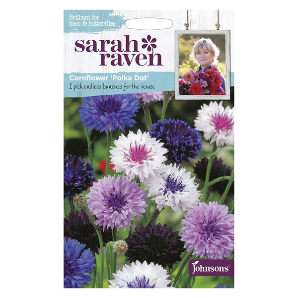 Johnsons Cornflower Polka Dot Seeds - DeWaldens Garden Centre