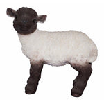 Vivid Arts Black & White Lamb - DeWaldens Garden Centre