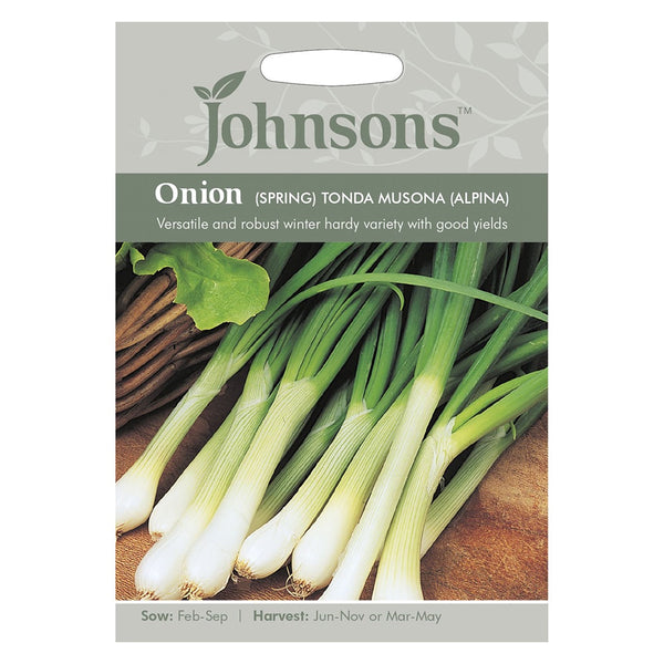 Johnsons Onion (Spring) Tonda Musona (Alpina) Seeds - DeWaldens Garden Centre