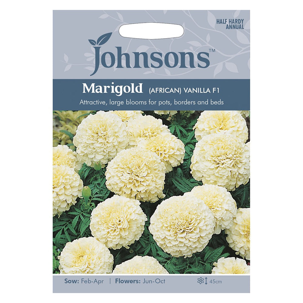 vanilla marigold seeds Johnsons Marigold (African) Vanilla F1 Seeds – DeWaldens Garden Centre