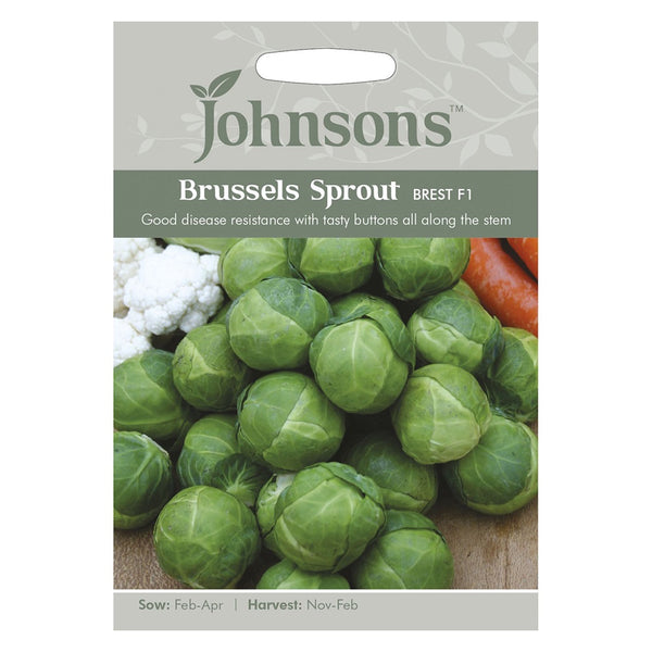 Johnsons Brussels Sprout Brest F1 Seeds - DeWaldens Garden Centre