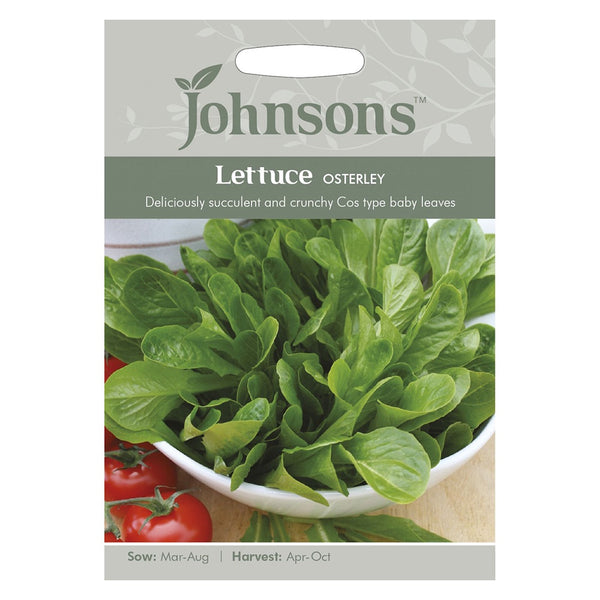 Johnsons Lettuce Osterley Seeds - DeWaldens Garden Centre