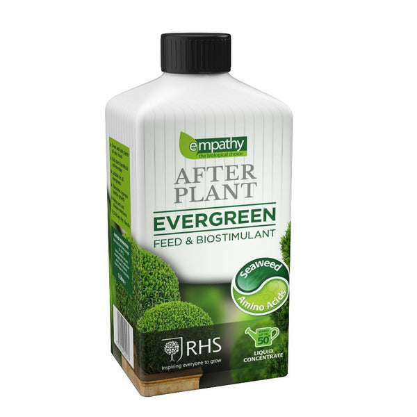Empathy After Plant Evergreen 1L - DeWaldens Garden Centre