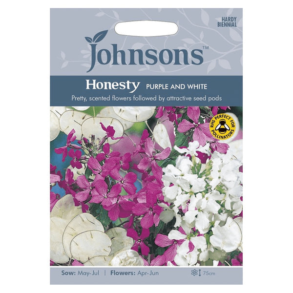 Johnsons Honesty Purple And White Seeds - DeWaldens Garden Centre