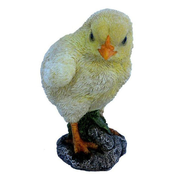 Vivid Arts Chick - DeWaldens Garden Centre
