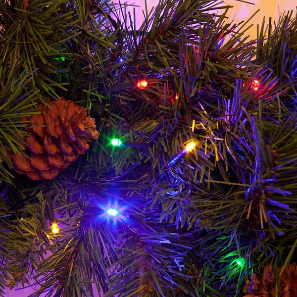 Snowtime 100 LED Connectable Lights - DeWaldens Garden Centre