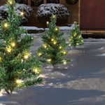 Premier 6 Mini LED Christmas Tree Path Lights - DeWaldens Garden Centre