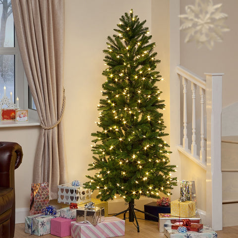 Christmas Trees