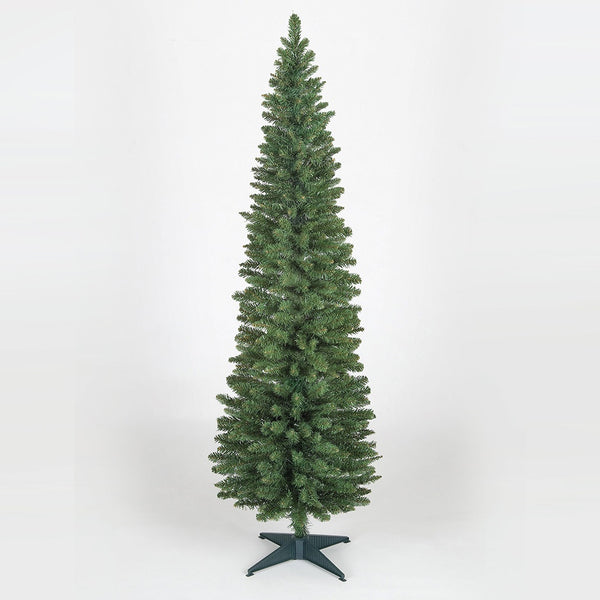 Wrapped Pencil Pine Tree 7ft - DeWaldens Garden Centre