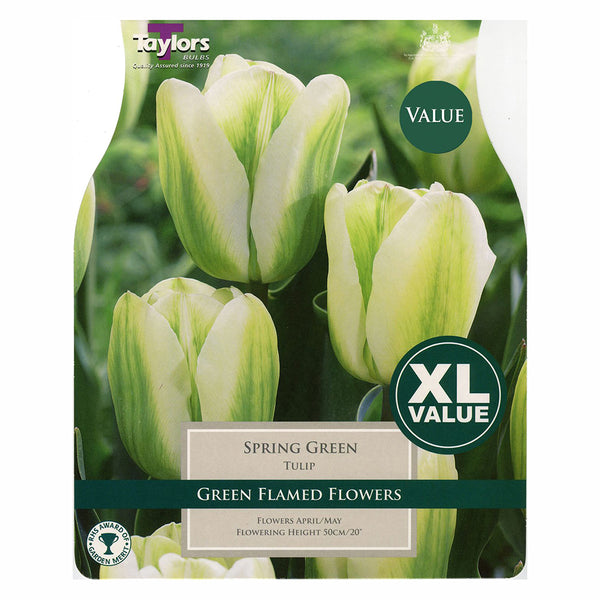 Taylors Bulbs - Tulip Spring Green x 20 Bulbs - DeWaldens Garden Centre
