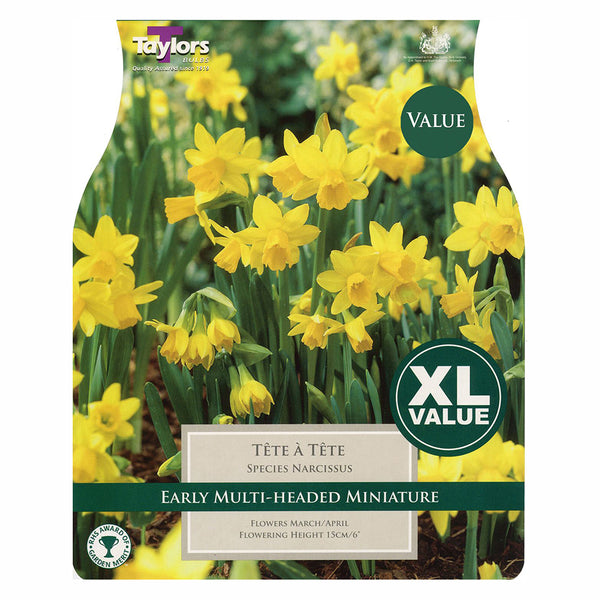 Taylors Bulbs - Narcissus Tete A Tete x 20 Bulbs - DeWaldens Garden Centre