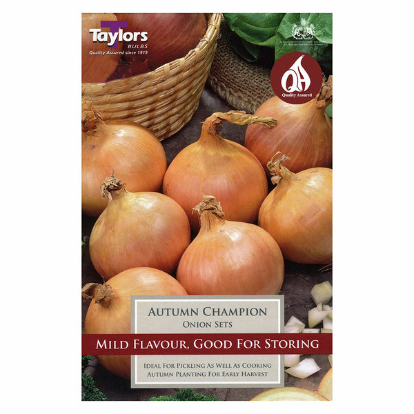 Taylors Bulbs - Autumn Champion Onion Set x 50 - DeWaldens Garden Centre