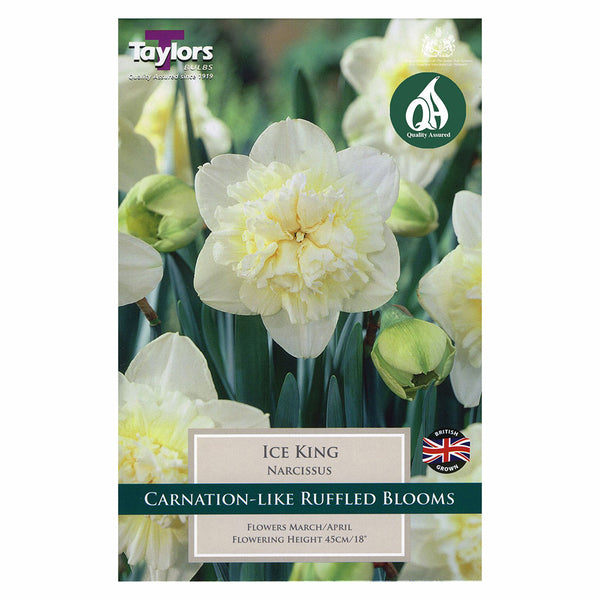 Taylors Bulbs - Narcissus Ice King  x 5 Bulbs - DeWaldens Garden Centre
