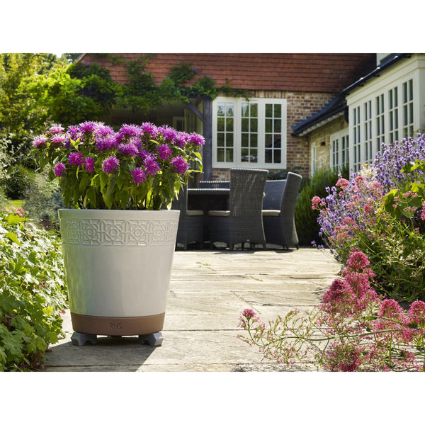 Apta RHS Close Borders Cone Planter - DeWaldens Garden Centre