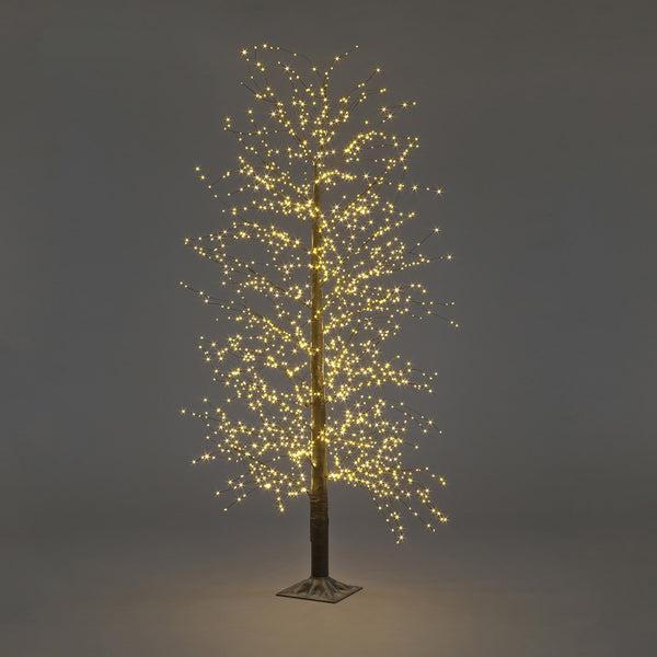 Snowtime Black Micro Dot Tree - DeWaldens Garden Centre