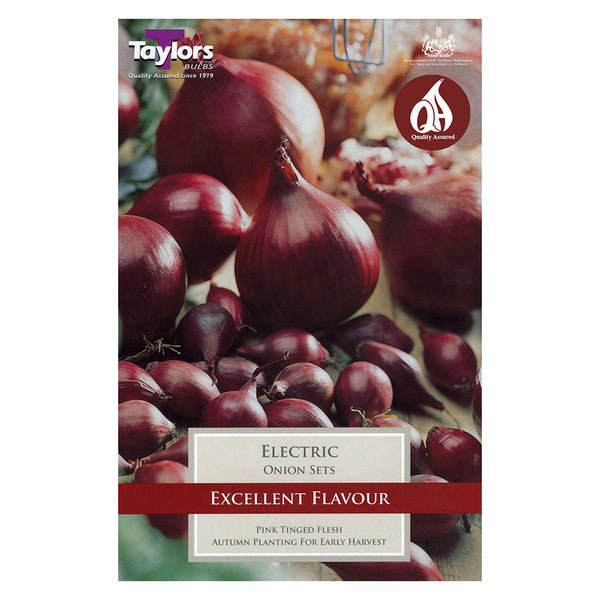 Taylors Bulbs - Electric Onion Set x 50 - DeWaldens Garden Centre